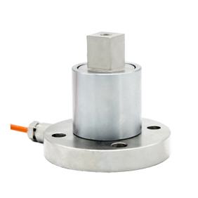 Static torque sensor